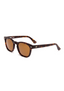 OTIS SUMMER OF 67 - MATTE DARK TORT/BROWN