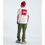 THE NORTH FACE SHORT SLEEVE BOX NSE TEE