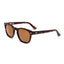 OTIS SUMMER OF 67 - MATTE DARK TORT/BROWN